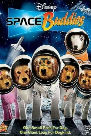 Космические друзья 